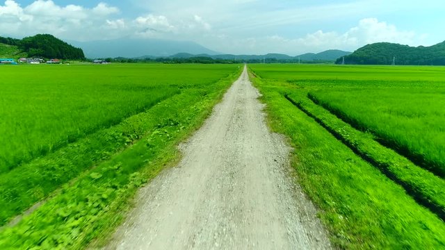 田園風景空撮
