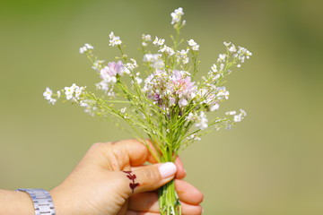 Fototapeta na wymiar wildflowers in a girl's hand