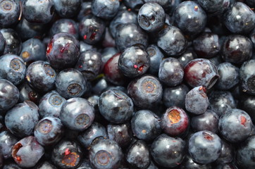 Blueberries close-up