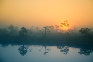 A beautiful, dreamy morning scenery of sun rising in a misty swamp. Artistic, colorful landscape...