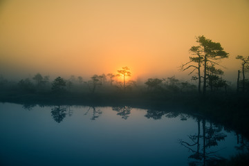 A beautiful, dreamy morning scenery of sun rising in a misty swamp. Artistic, colorful landscape photo.