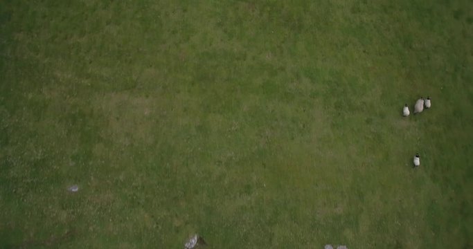 Aerial Around Croagh Patrick, County Mayo, Ireland - Native Version
