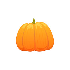 vector big cartoon pumpkin. Isolated illustration on a white background. Autumn fall symbols objects concept