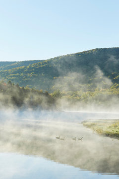 Scenic view, Colgate Lake Wild Forest, Catskill Park, New York State, USA