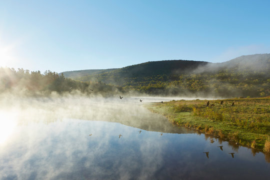 Scenic view, Colgate Lake Wild Forest, Catskill Park, New York State, USA