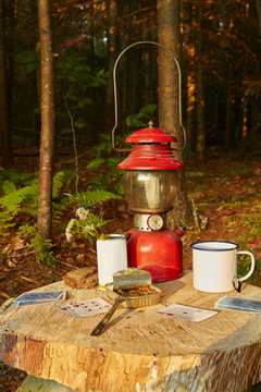Playing cards, tinned sardines and tin cup on tree stump, Colgate Lake Wild Forest, Catskill Park, New York State, USA
