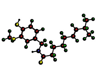 Molecular structure of Capsaicin