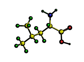 Molecular structure of leucine