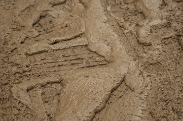 Mud. Very wet ground.