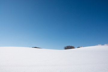 真っ白な雪原と冬晴れの青空