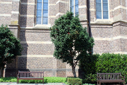 Lambertus Bilder Durchsuchen 781 Archivfotos, und