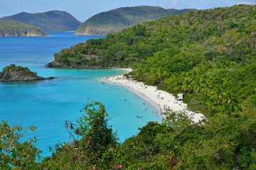 Naklejka premium The famous Trunk Bay beach on St John in the Virgin Islands National Park