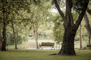 Bench near tree in public park with city scape background