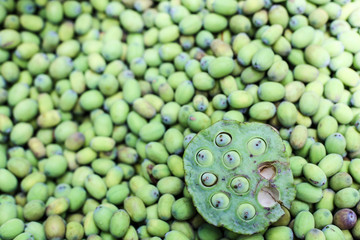 Lotus seed pod for eating and cooking.