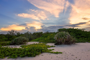 Dramatic tropical sunset on wild South Florida coastline