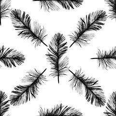 Vector bird feather pattern from wing. Vector feather for background, texture, wrapper pattern, frame or border.