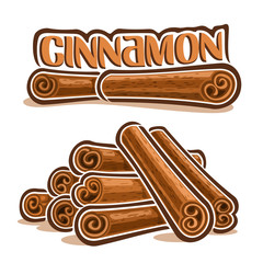 Vector illustrations for Cinnamon spice, brown roll sticks of culinary condiment, heap of group cooking indian cinamon quills, ingredient for baking dessert, label with title text - cinnamon on white.