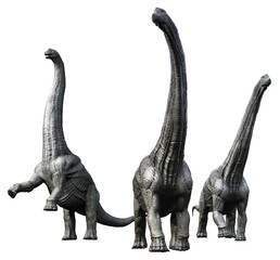 3D rendering of an Alamosaurus pack, isolated on a white background. © Herschel Hoffmeyer