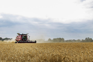 combine "barley and rye during the day and evening at sunset