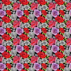 Fototapeta na wymiar Wildflower rosa flower pattern in a watercolor style. Full name of the plant: roses. Aquarelle wild flower for background, texture, wrapper pattern, frame or border.