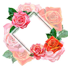 Wildflower rose flower frame in a watercolor style. Full name of the plant: rose. Aquarelle wild flower for background, texture, wrapper pattern, frame or border.