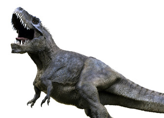 3D rendering of Tyrannosaurus Rex, isolated on a white background.