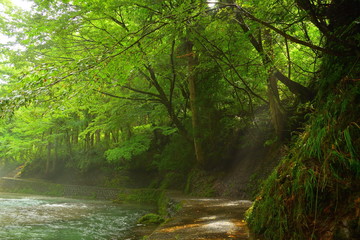 Obraz premium 岨谷峡