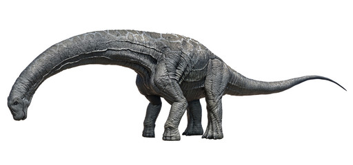 3D rendering of Alamosaurus, isolated on a white background.