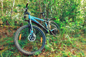 Fototapeta premium bike lies in the Woods