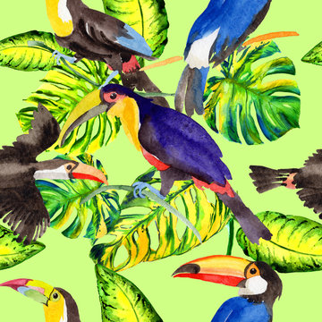 Sky bird toucan pattern in a wildlife by watercolor style. Wild freedom, bird with a flying wings. Aquarelle bird for background, texture, pattern, frame, border or tattoo.
