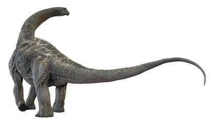 3D rendering of Alamosaurus, isolated on a white background.