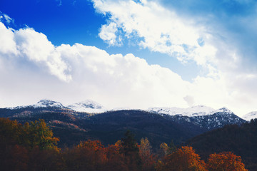 Snowy alps and autumn forest on sunrise.