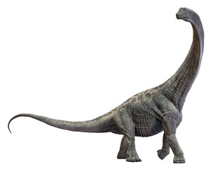 3D rendering of Alamosaurus, isolated on a white background. - obrazy, fototapety, plakaty