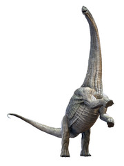 3D rendering of Alamosaurus, isolated on a white background. © Herschel Hoffmeyer