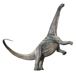Fototapeta premium 3D rendering of Alamosaurus, isolated on a white background.