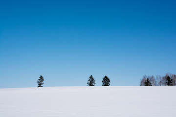 真っ白な雪原と青空