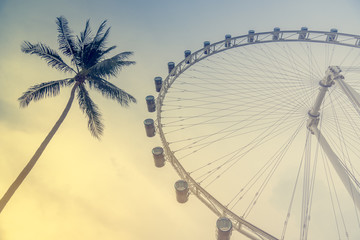 Ferris wheel in sunset time with coconut tree (vintage filter)