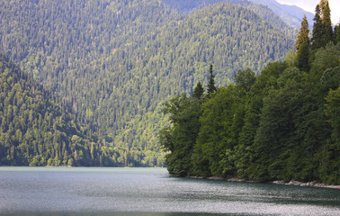 Lake shore in green trees and a high mountain in a blue haze