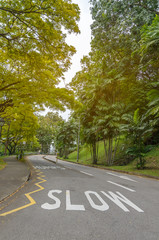 Obraz premium Word SLOW painted on the curve road to warn drive to humps ahead with green trees beside the road