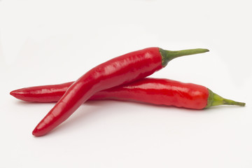 Red chilli pepper / Still life of fresh red chilli pepper