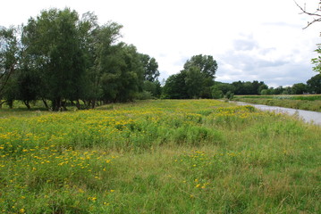 Floßfahrt in der Auenlandschaft