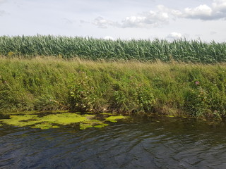 Floßfahrt in der Auenlandschaft