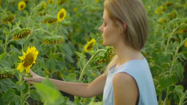 Portrait of a young woman in a blue dress standing unflower field, enjoying nature. Slowmotion shot