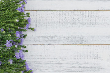 Purple cutter flowers with green branches on white wood background with copy space