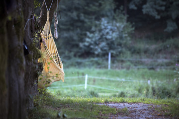 Hängematte zwischen zwei bäumen