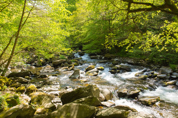 River Lyn Lynmouth Devon view from walk to Watersmeet 