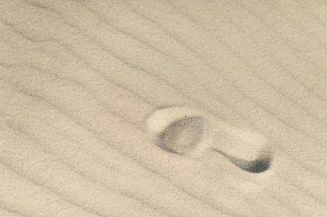 Fototapeta na wymiar Shoe footprint on the sand of a beach