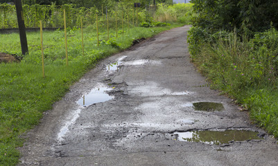 Rural soil road located in the woods, The season is summer