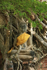 Old Buddha ,Ayuddhaya ,Thailand