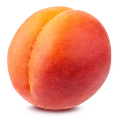 Fresh apricot isolated on white background